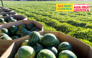 Asia Fruit logistica