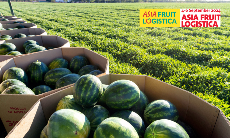 Asia Fruit logistica